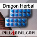 Dragon Herbal viagra2